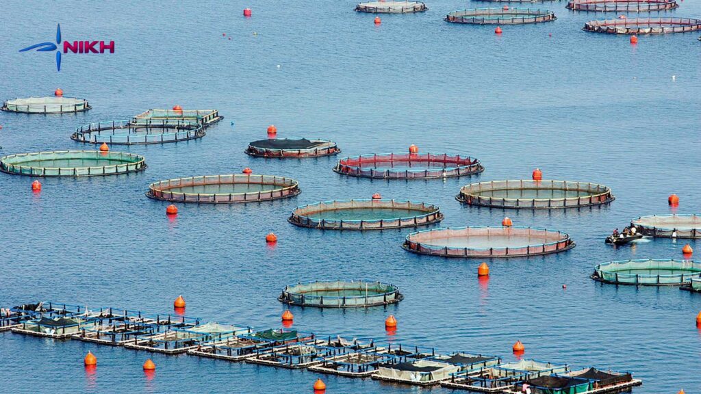 Υδατοκαλλιέργειες ανοικτής θαλάσσης στην Ελλάδα – βασικός πυλώνας ανάπτυξης του πρωτογενούς τομέα και της περιφερειακής οικονομίας