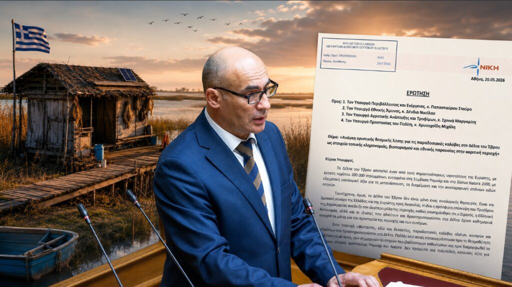 Η ΝΙΚΗ ζητά θεσμική προστασία για τις παραδοσιακές καλύβες στο Δέλτα του Έβρου, κάνοντας λόγο για ζήτημα ακριτικής παρουσίας, βιοπορισμού και εθνικής σημασίας